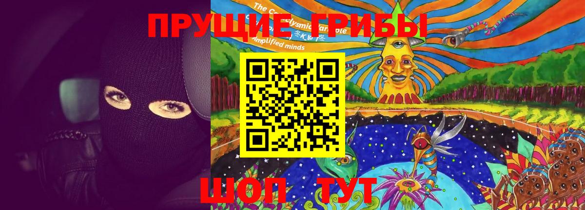 Галлюциногенные грибы Psilocybine cubensis Камень-на-Оби